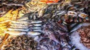 تحديث جديد لمستويات أسعار السمك خلال تعاملات اليوم الثلاثاء في الأسواق المصرية